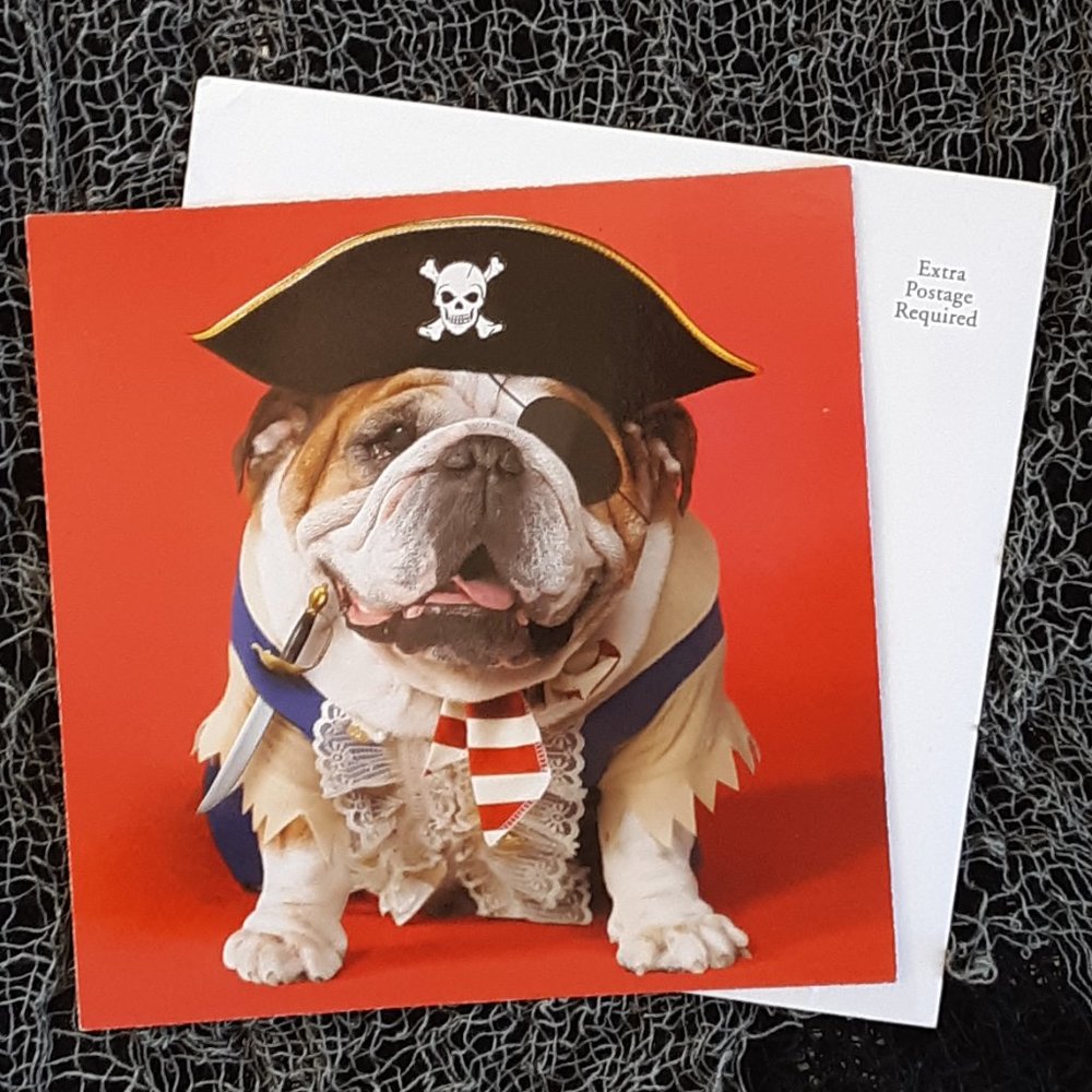 Bulldog Pirate Costume Halloween Card Carlton New